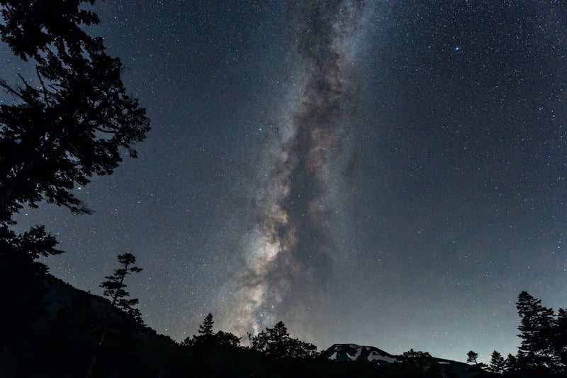 Starlit Path